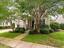 Photo 3 of 25 : 705 Quintan Street
