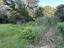 Photo 8 of 12 : 250 Lindaville Lane