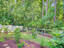 Photo 4 of 25 : 3798 Sawmill Court