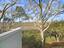 Photo 22 of 25 : 1723 Live Oak Park