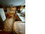 Photo 7 of 13 : 1446 Ridgewood Drive