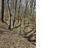 Photo 15 of 25 : 271 Winningham Road