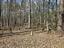 Photo 16 of 25 : 271 Winningham Road