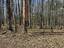 Photo 17 of 25 : 271 Winningham Road