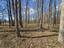 Photo 19 of 25 : 271 Winningham Road