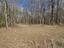 Photo 20 of 25 : 271 Winningham Road