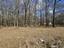 Photo 21 of 25 : 271 Winningham Road