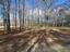 Photo 23 of 25 : 271 Winningham Road