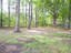 Photo 9 of 25 : 405 Treeline Drive