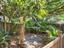 Photo 22 of 24 : 820 Natchez Circle