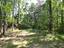 Photo 6 of 9 : 1738 Dogwood Road