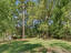 Photo 4 of 25 : 411 Forest Circle