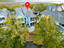 Photo 3 of 25 : 1611 Folly Creek Way, #C-3
