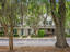 Photo 4 of 25 : 8169 Shadow Oak Drive