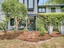 Photo 10 of 25 : 706 Arcadian Way