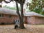 Photo 2 of 13 : 742 Condon Drive
