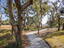 Photo 24 of 25 : 302 Island Park Drive