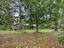 Photo 5 of 25 : 1625 Alexander Circle
