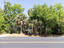 Photo 5 of 25 : 1205 Jungle Road