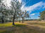 Photo 6 of 25 : 4107 Davison Road