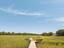 Photo 3 of 25 : 897 Kushiwah Creek Court