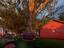 Photo 19 of 19 : 305 Livewell Court