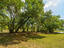 Photo 21 of 25 : 130 River Landing Drive, #Unit 2215