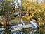 Photo 2 of 25 : 319 Hobcaw Drive