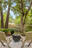 Photo 24 of 25 : 610 Hobcaw Bluff Drive