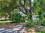 Photo 2 of 25 : 1663 Pinckney Park Drive