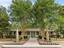 Photo 6 of 25 : 1600 Long Grove Drive, #1015