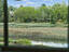Photo 22 of 25 : 1244 Cornwallis Drive
