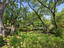 Photo 4 of 25 : 143 Live Oak Drive
