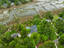 Photo 3 of 25 : 3158 Pignatelli Crescent