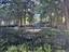 Photo 16 of 25 : 2629 Coral Vine Court