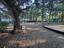Photo 19 of 25 : 2629 Coral Vine Court