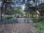 Photo 20 of 25 : 2629 Coral Vine Court