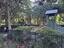 Photo 21 of 25 : 2629 Coral Vine Court