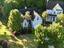 Photo 3 of 25 : 2629 Coral Vine Court