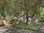 Photo 2 of 25 : 1382 Cassidy Court, #A