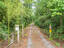 Photo 5 of 25 : 229 Bay Blossom Lane