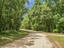 Photo 4 of 25 : 343 Capers Road