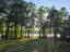 Photo 6 of 25 : 117 Goose Creek Drive