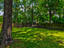 Photo 11 of 25 : 42 Woodleaf Court