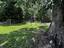 Photo 13 of 16 : 4722 Foxwood Drive