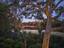 Photo 5 of 25 : 435 Fountain Grass Lane, #Share #8