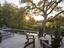 Photo 7 of 25 : 435 Fountain Grass Lane, #Share #8