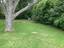 Photo 6 of 25 : 761 Whittaker Parkway