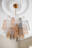 Photo 20 of 25 : 63 Montagu Street, #A