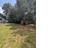 Photo 3 of 4 : 1113 Melvin Drive